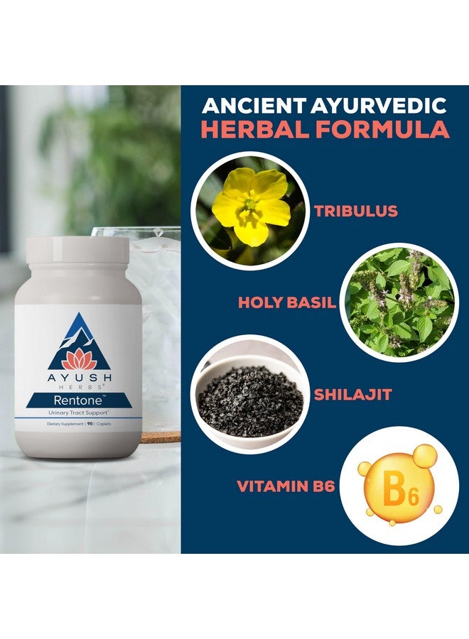 Ayush Herbs Rentone - Kidney Support Supplement with Cranberry, Kidney Cleanse Pills for Women & Men, Urinary Health & Bladder Function - 90 Vegetarian Capsules (1 Count) - Image 4