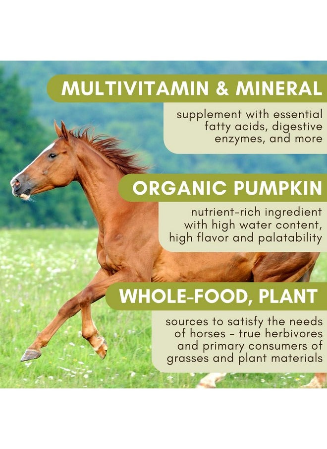 Wholistic Pet Organics Wholistic Pet Organics Equine Complete: Horse Multivitamin for Total Body Health - Horse Supplement with Vitamins, Minerals, Prebiotics, Probiotics - Organic Pumpkin Flavor - 4 Lb  - Image 2