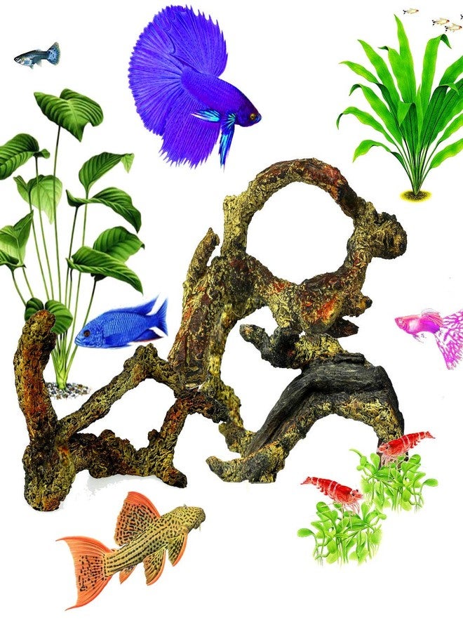 Corisrx Driftwood for Aquarium Decoration Freshwater Fish Tank Plant Shrimp Decor (CO-058) - Image 5