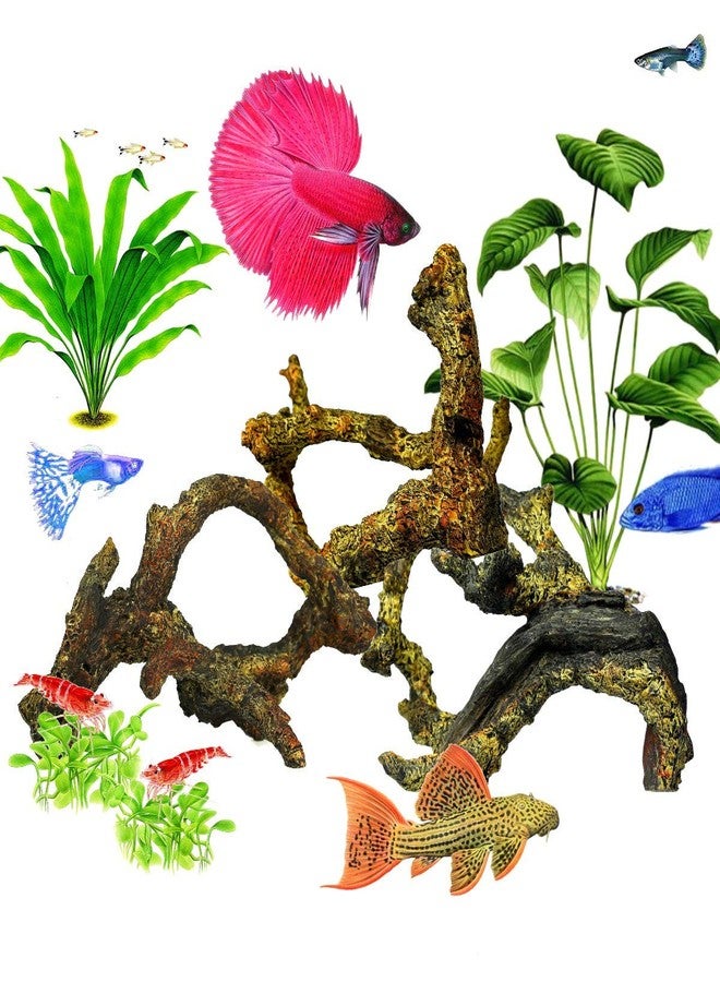 Corisrx Driftwood for Aquarium Decoration Freshwater Fish Tank Plant Shrimp Decor (CO-058) - Image 2