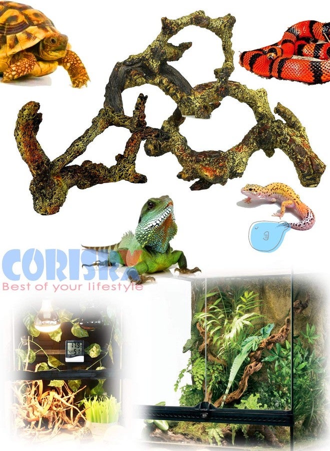Corisrx Driftwood for Aquarium Decoration Freshwater Fish Tank Plant Shrimp Decor (CO-058) - Image 4