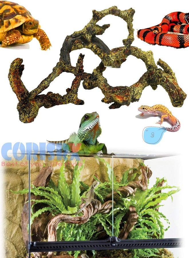 Corisrx Driftwood for Aquarium Decoration Freshwater Fish Tank Plant Shrimp Decor (CO-058) - Image 3