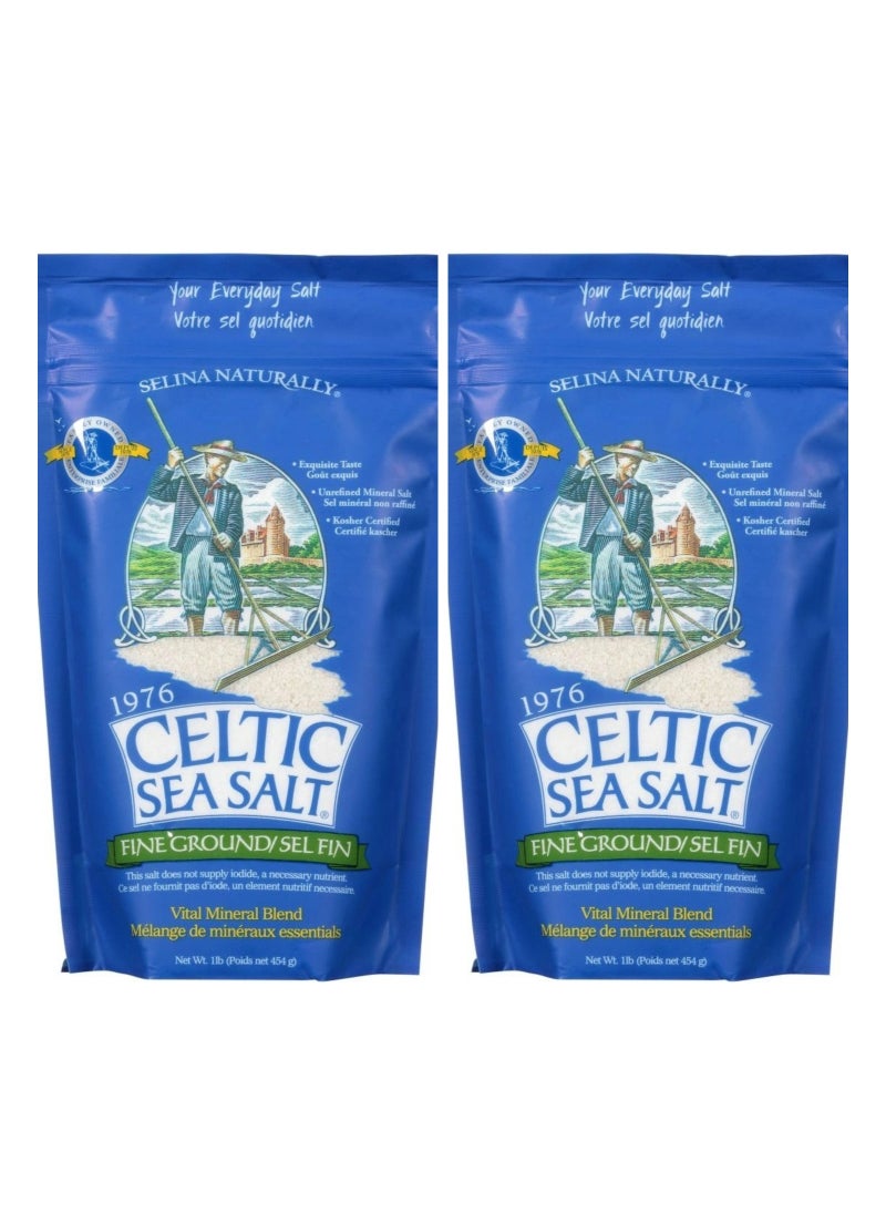 Celtic Sea Salt, Fine Ground, Vital Mineral Blend, 1 lb (454 g) pack of 2 - pzsku/Z58D1FD52C5850CB9FB12Z/45/_/1690620958/63c15aa1-7ffc-4f1b-ab2a-dd3aead0bf2f