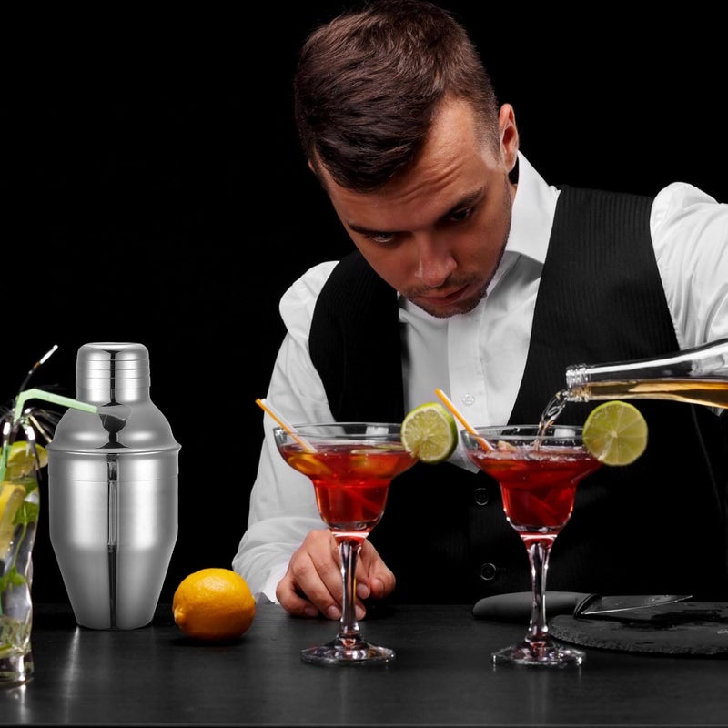 Nitial 9 Pcs Bar Cocktail Shaker Professional Stainless Steel Martini Drink Mixer Built-in Strainer for Bartending No Leaks Boston Shaker for Bar Party Drink Tool(Silver,8 oz) - Image 5