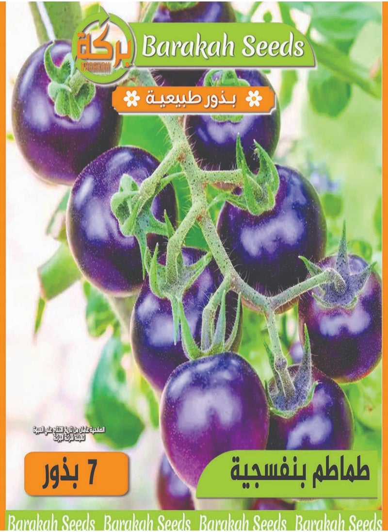 Generic High Germination Rate Seeds - Purple Tomatoes 