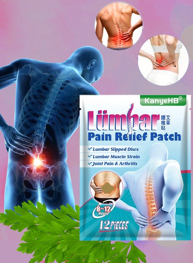 KanyeHB 12Pcs Lumbar Pain Relief Patch Joint Pain Relieving Patches for Lumbar Vertebra 8 to 12 hour Strength Pain Relief Patch for Back Pain Herbal Patches for Lumber Muscle Strain - Image 1