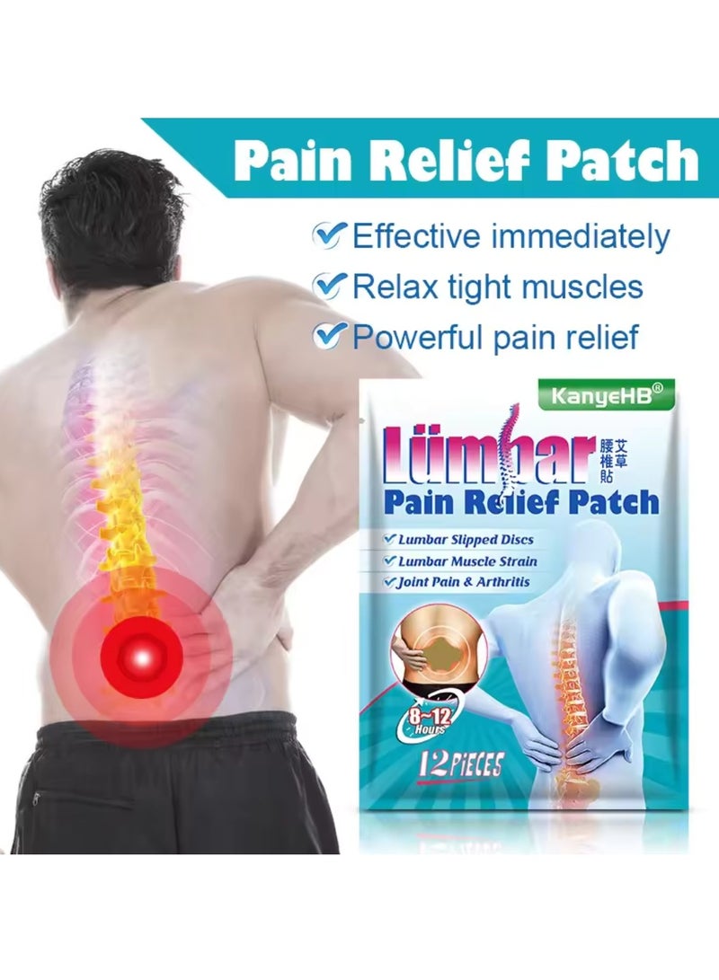 KanyeHB 12Pcs Lumbar Pain Relief Patch Joint Pain Relieving Patches for Lumbar Vertebra 8 to 12 hour Strength Pain Relief Patch for Back Pain Herbal Patches for Lumber Muscle Strain - Image 3