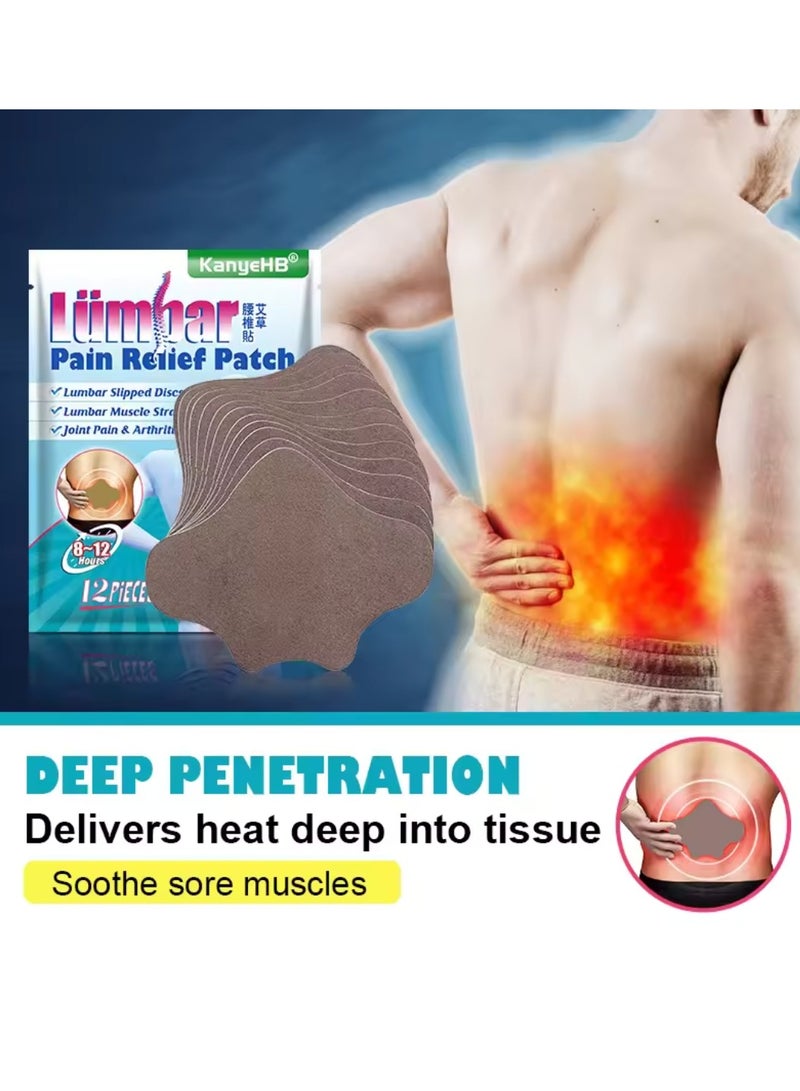KanyeHB 12Pcs Lumbar Pain Relief Patch Joint Pain Relieving Patches for Lumbar Vertebra 8 to 12 hour Strength Pain Relief Patch for Back Pain Herbal Patches for Lumber Muscle Strain - Image 5