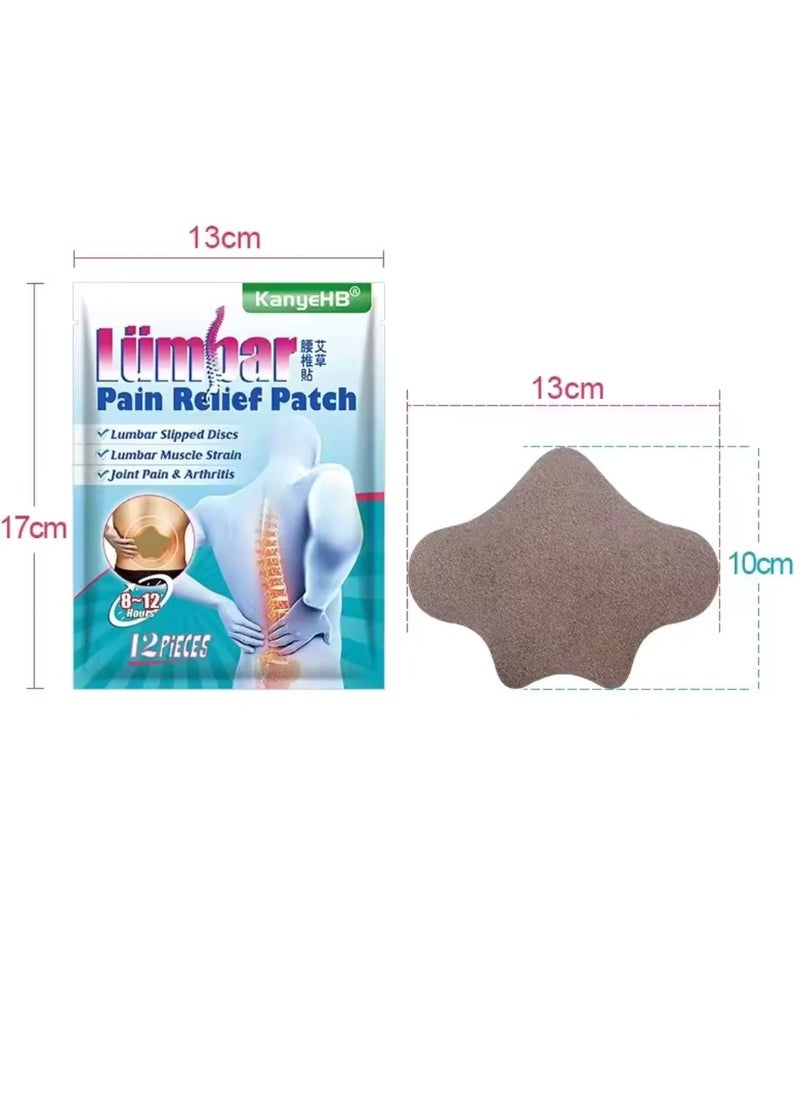 12Pcs Lumbar Pain Relief Patch Joint Pain Relieving Patches for Lumbar Vertebra 8 to 12 hour Strength Pain Relief Patch for Back Pain Herbal Patches for Lumber Muscle Strain - pzsku/Z58D38C6C18ABFC946D64Z/45/_/1714816728/b3183805-9c17-4066-8c91-c8edd0cf8ada