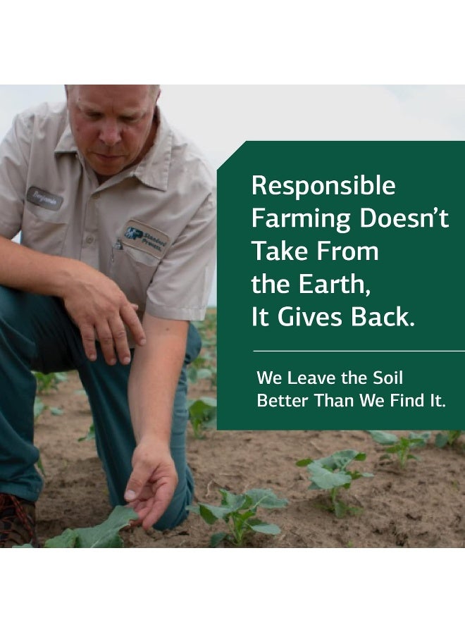 Standard Process Inc. Diaplex - Whole Food Bowel, Pancreas, Metabolism, Antioxidant, Gallbladder Support and Blood Sugar Support with Pepsin, Betaine Hydrochloride, Soy Protein -150 Capsules - Image 5