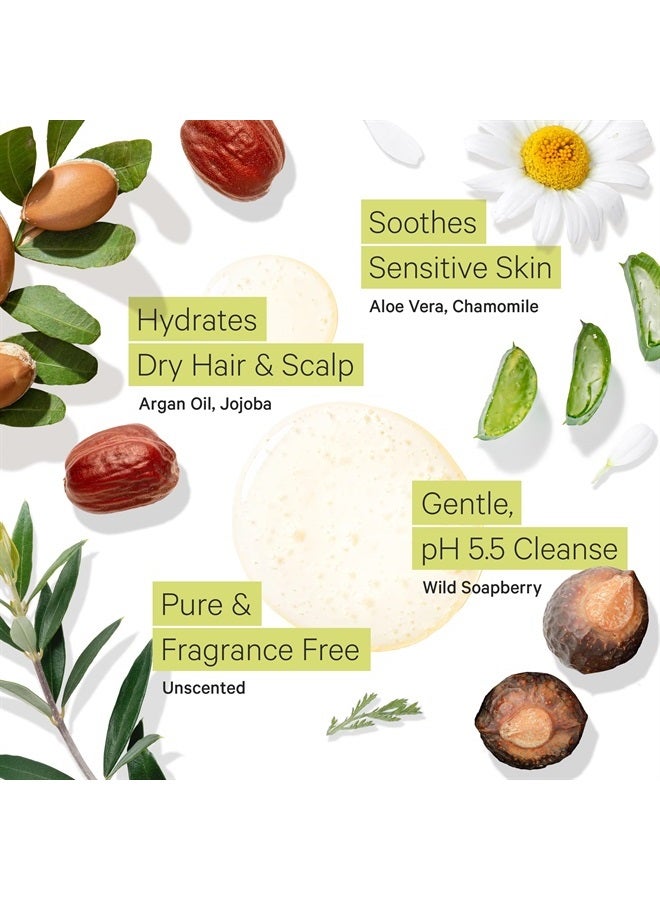 Tree to Tub شامبو خالي من العطور لشعر جاف وفروة رأس حساسة - شامبو مرطب غير معطر للنساء والرجال، شامبو مرطب خالي من الكبريتات مع زيت الأركان العضوي، صبار الألوة فيرا الطبيعي بالكامل - Image 3