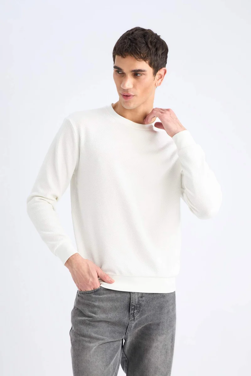 Defacto  Regular Fit Long Sleeve Sweatshirt for Men | Best Price UAE