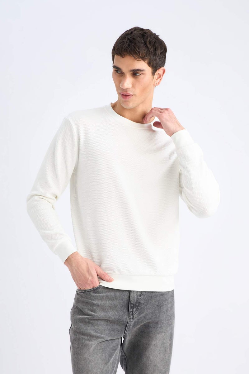 DeFacto Regular Fit Long Sleeve Sweatshirt - Image 3