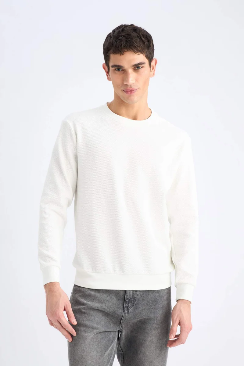 Defacto  Regular Fit Long Sleeve Sweatshirt for Men | Best Price UAE