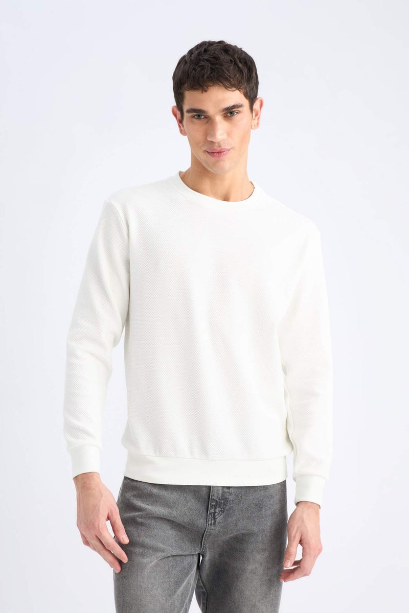DeFacto Regular Fit Long Sleeve Sweatshirt - Image 4
