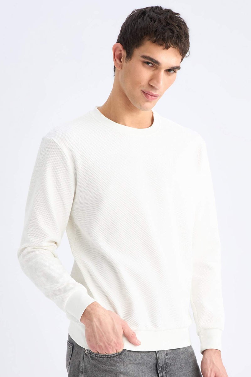 DeFacto Regular Fit Long Sleeve Sweatshirt - Image 1