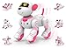 STEMTRON Programmable Remote Control Robot Cat Robot Dog for Kids Interactive Robotic Dog Robotic Cat Robo Dog Robo Cat RC Robot with Touch Sensing LED Eyes Dance Music - Image 2