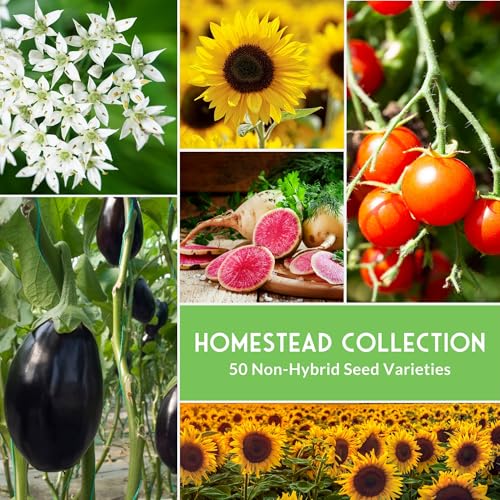 SURVIVAL GARDEN SEEDS Homesteader Seed Vault - 50 Packs of Non-GMO Heirloom Vegetable, Fruit, Herb Seeds for Planting a Victory Garden - Grow Survival Food for Storage, Emergency Preparedness - Survival Garden Seeds - Image 4