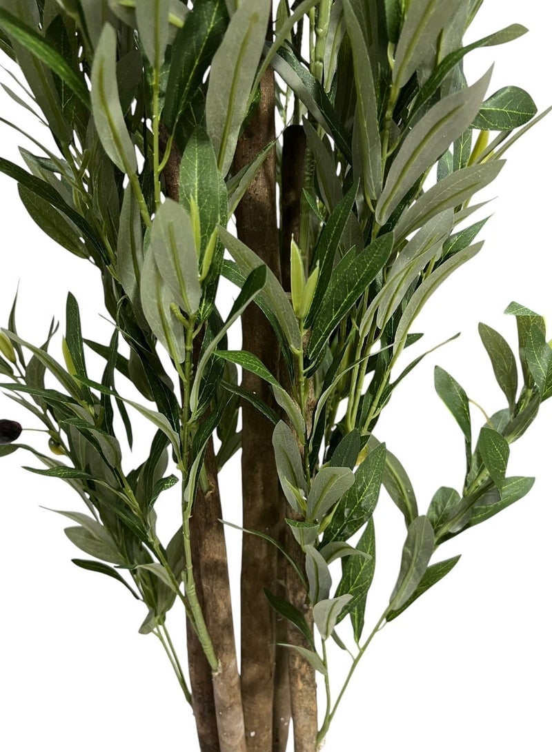 Al-Rawasem House A fruitful olive tree with a large, attractively designed black pot - Image 5