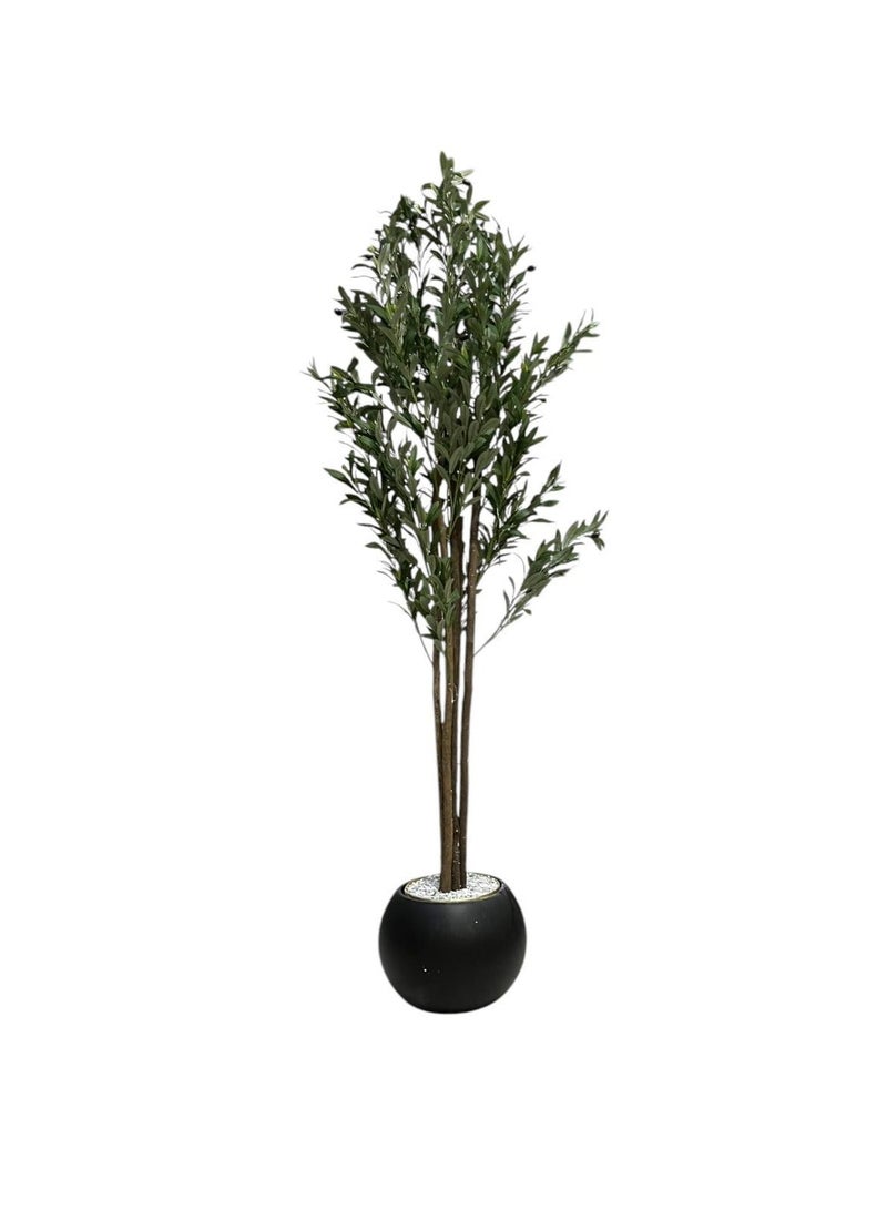 Al-Rawasem House A fruitful olive tree with a large, attractively designed black pot - Image 4