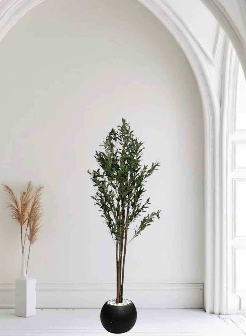 Al-Rawasem House A fruitful olive tree with a large, attractively designed black pot - Image 3
