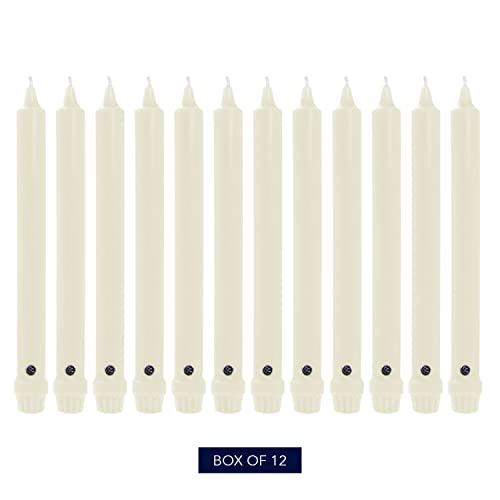 Colonial Candle Unscented Taper Candle, Classic Collection, Ivory, 10 In, Pack of 12 - Up to 8 Hours Burn - Image 2