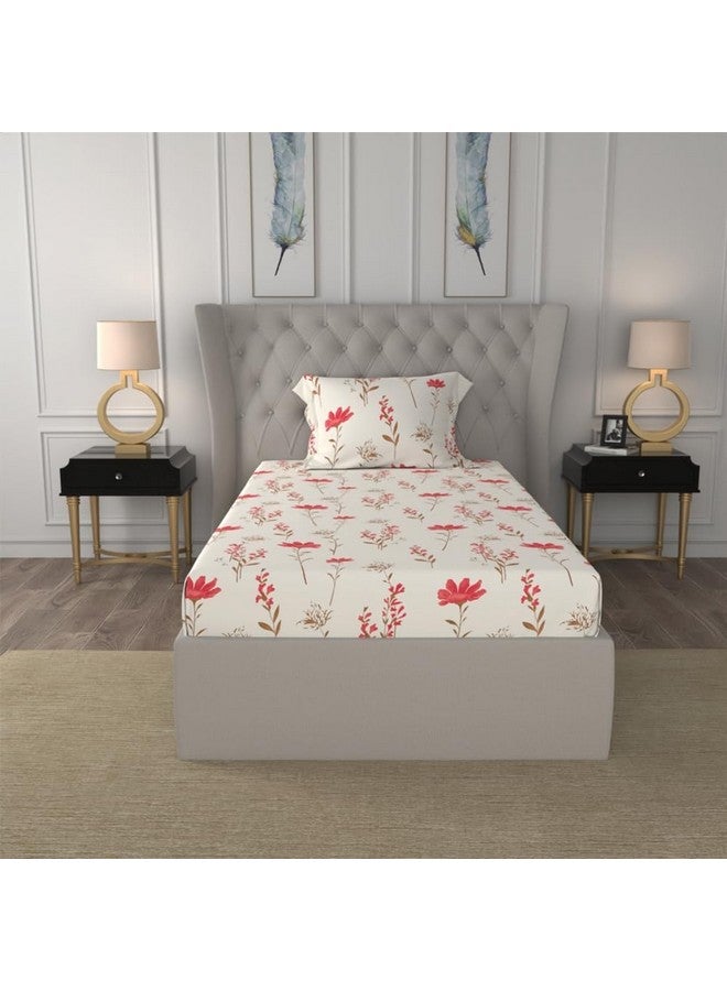 Urban Space ملاءة سرير قطن 100% 200 TC من أوربان سبيس لسرير مفرد مع غطاء وسادة واحد، ملاءة مفردة (أزهار الأوركيد - وردي، الحجم 58 x 90 بوصة) - Image 2