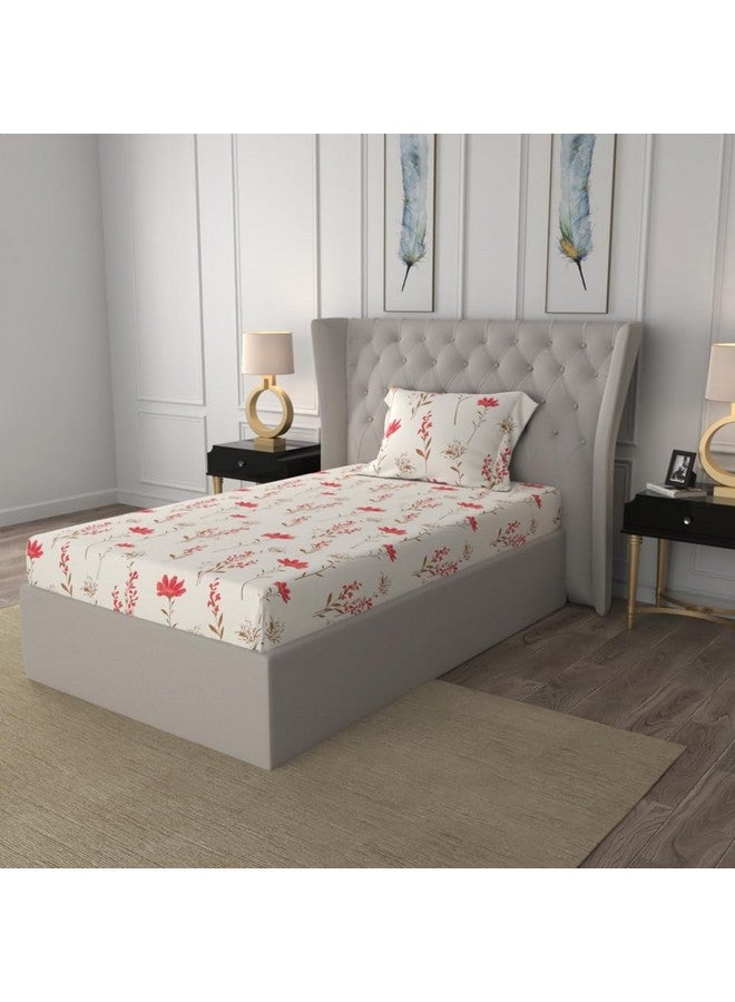 Urban Space ملاءة سرير قطن 100% 200 TC من أوربان سبيس لسرير مفرد مع غطاء وسادة واحد، ملاءة مفردة (أزهار الأوركيد - وردي، الحجم 58 x 90 بوصة) - Image 1