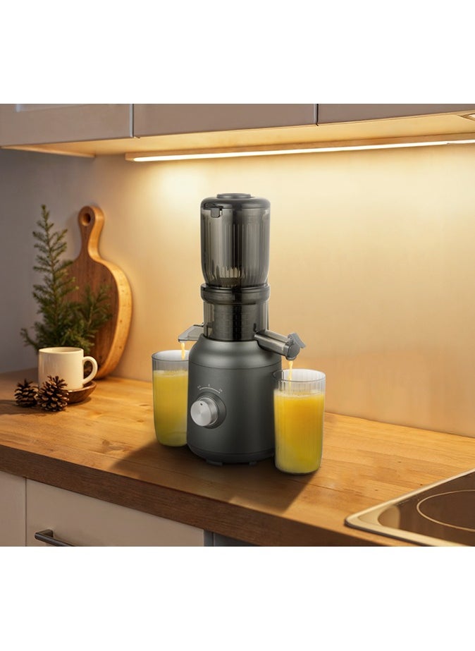 GREEN LION - Slow Juicer Pure Copper Motor 250W / Automatic Separation of Slag and Juice / Low-speed DC Motor / Low Noise / 99% High Juice Yield - Black - Image 1