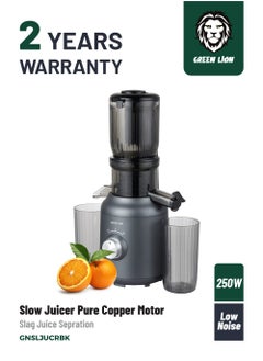 GREEN LION Slow Juicer Pure Copper Motor 250W / Automatic Separation of Slag and Juice / Low-speed DC Motor / Low Noise / 99% High Juice Yield - Black  - Image 1