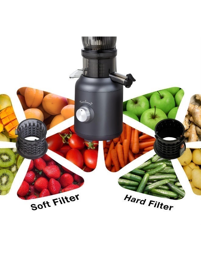 GREEN LION Slow Juicer, 250W Pure Copper Motor, Wide Chute, High Juice Yield, Automatic Separation of Slag and Juice, Slow Masticating Juicer for Vegetables & Fruits, low Noise Juice Extractor, 99% High Juice Yield - Black - Image 3