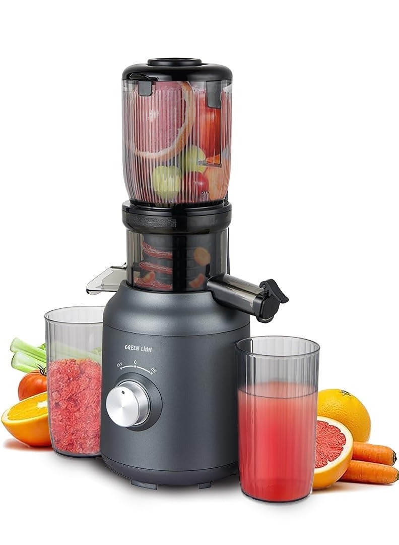GREEN LION Slow Juicer, 250W Pure Copper Motor, Wide Chute, High Juice Yield, Automatic Separation of Slag and Juice, Slow Masticating Juicer for Vegetables & Fruits, low Noise Juice Extractor, 99% High Juice Yield - Black - Image 1