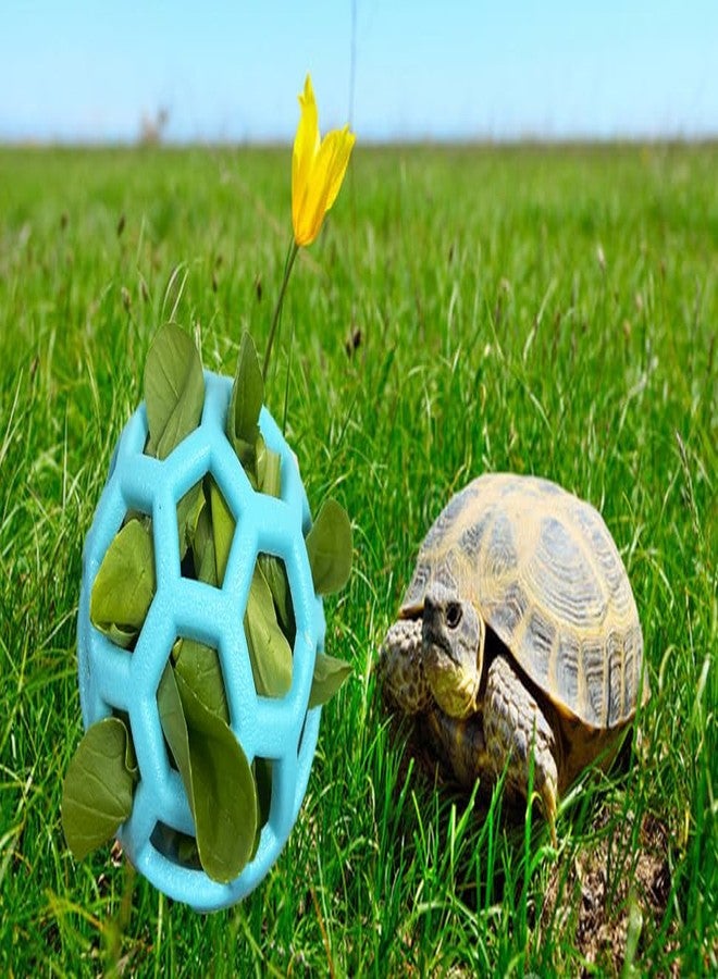 Fejapa 7 pcs Tortoise Treat Ball and Training Skateboard Toy Set Turtle Feeder Ball Funny Aquatic Turtle Enrichment Toys Aquarium Feed Toy Tortoise Feeding Balls Vegetable Grass for Small Animals - Image 3