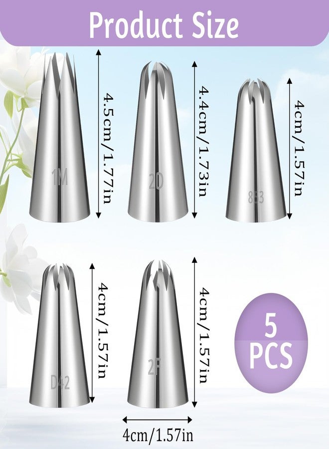 Larrel 5 Pcs Piping Tip, Stainless Steel Icing Tips Wilton Piping Tips Set Cake Decorating Kit Baking Tools for Buttercream Icing Birthday Cupcake DIY Art - Image 2