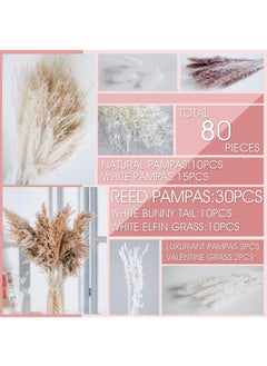 ماركة غير محددة المجففة Pampas العشب المجفف زهرة صغيرة بوص بوهيميا الزهور الطبيعية للزينة المنزلية زهرة غرفة المعيشة شرفة حفل زفاف ترتيب ذيل الأرنب الأبيض ريد 