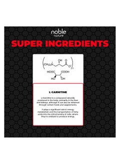 noble nature L-Carnitine L-Tartrate - 1000 MG - 120 Veg Capsules - Helps Boost Energy and Enhance Muscle Recovery for Improved Performance  - Image 4