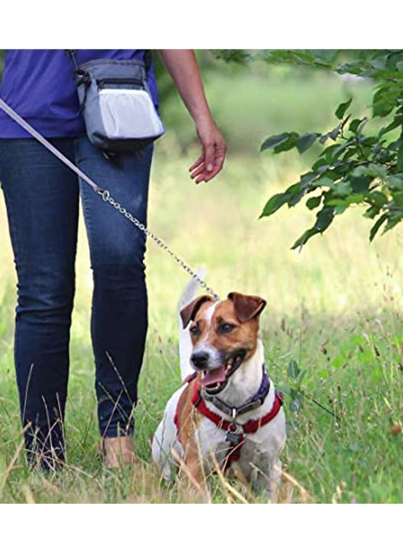 Dog Treat Pouch, Hands Free Puppy Training Bag with Adjustable Waistband, Reflective Shoulder Strap and Dog Waste Bag Dispenser for Training, Walks and Outings, Heather Gray