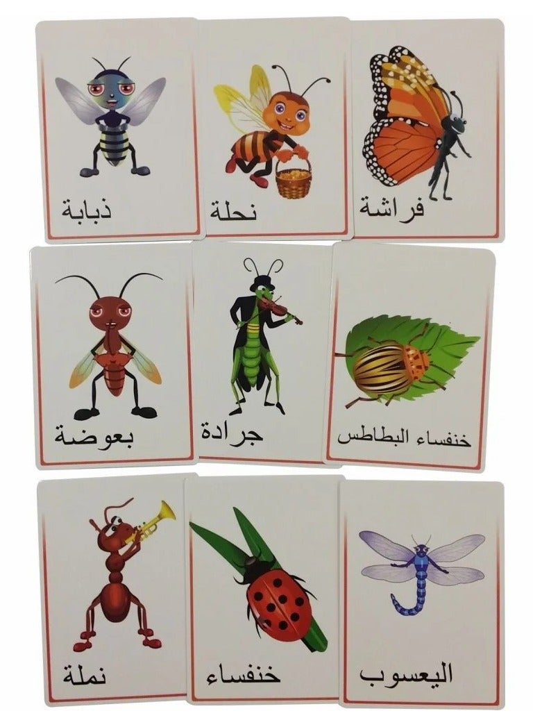 Educational Flashcards – Insect Edition for Kids – 15×10 cm – Waterproof Laminate  - Image 1