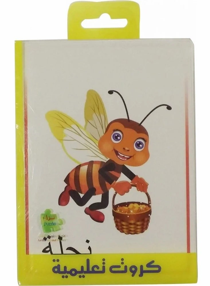 Educational Flashcards – Insect Edition for Kids – 15×10 cm – Waterproof Laminate  - Image 2