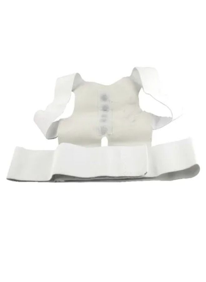 Adjustable Back Support Belt