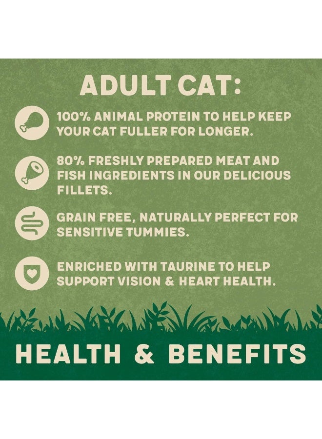 Harringtons Fish in Jelly Wet Cat Food 12x85g - Image 2