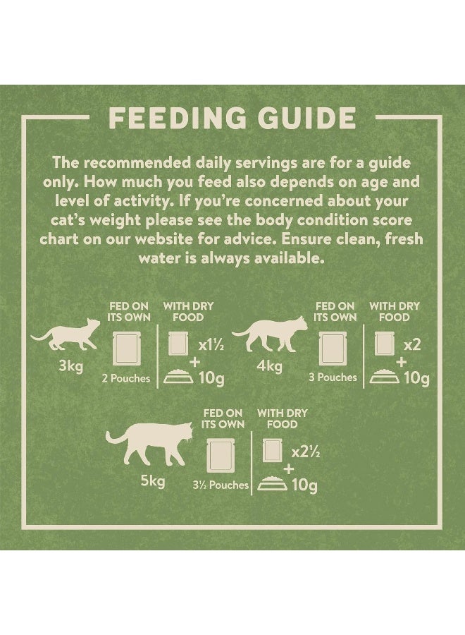 Harringtons Fish in Jelly Wet Cat Food 12x85g - Image 3