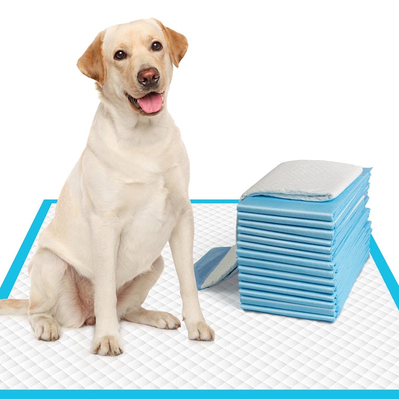 IMMCUTE Large Dog Pee Pads 28"x30"-50 Count | Large Puppy Pee Training Pads Super Absorbent & Leak-Proof | Disposable Pet Piddle and Potty Pads for Puppies | Dogs | Doggie - Image 1