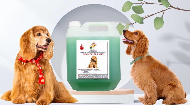 SWACCH Shampoo Specially FORMULATED for Cocker Spaniel 10 Litre NEEM ALOVERA - Image 1