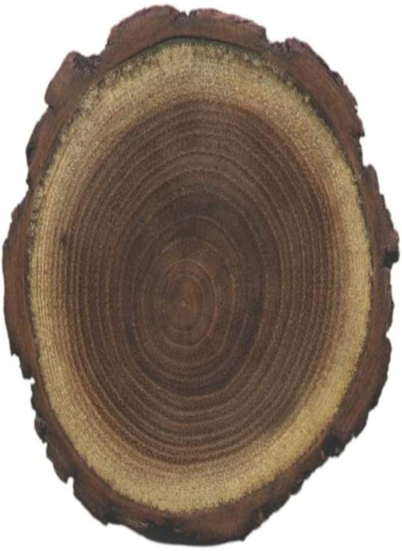 GGOOT - 50 Black Locust Tree Seeds for Planting - Robinia pseudoacacia - Image 1