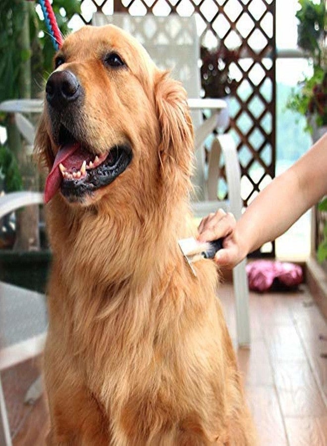 Agirav Double Sided Dog Grooming Comb with Soft Grip Handle, Reduces Shedding, Wide and Narrow Space Stainless Steel Pins for Detangling and Flea Removal - Image 4