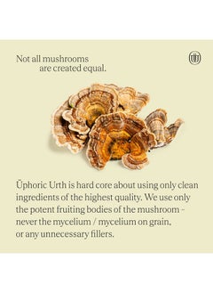 Uphoric Urth Turkey Tail Mushroom Extract Double Extracted Fruitbody Mushroom Tincture ; Immunity Booster Manages Inflammation Soothes Aches Healthy Digestive Function Antioxidants (60 Servings)  - Image 3
