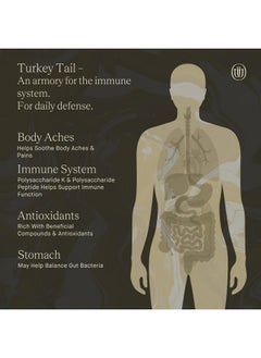 Uphoric Urth Turkey Tail Mushroom Extract Double Extracted Fruitbody Mushroom Tincture ; Immunity Booster Manages Inflammation Soothes Aches Healthy Digestive Function Antioxidants (60 Servings)  - Image 4