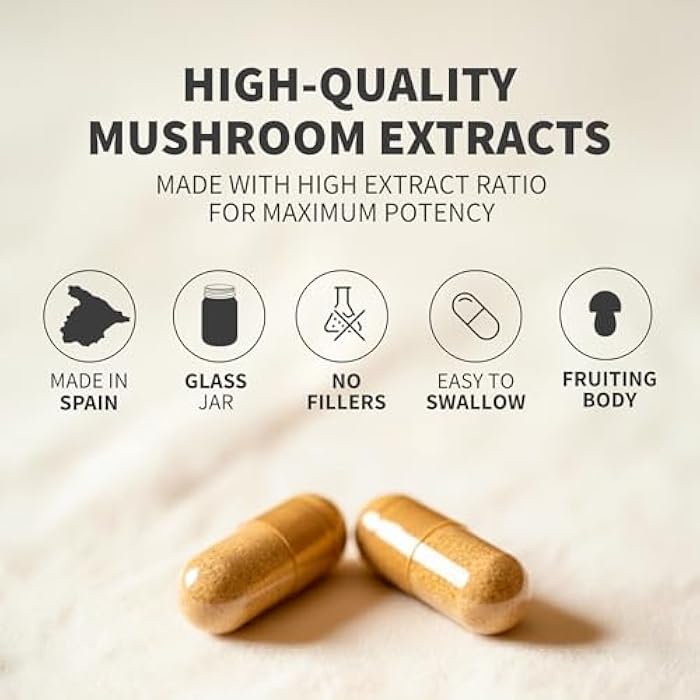 Hifas de Terra Mico-Leo - Organic Lions Mane Supplement Capsules, Lion's Mane Mushroom Extract, Nootropic for Brain, Focus, and Memory for Adults - 70 Vegan Capsules - Image 3