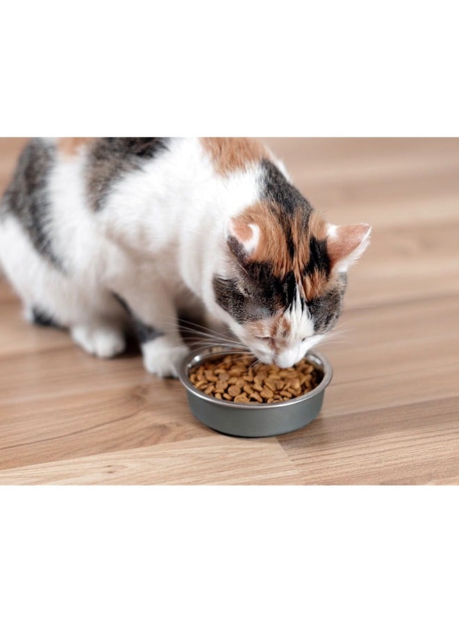 شيسر دجاج معقم وخفيف للقطط - 10 كجم - Image 2